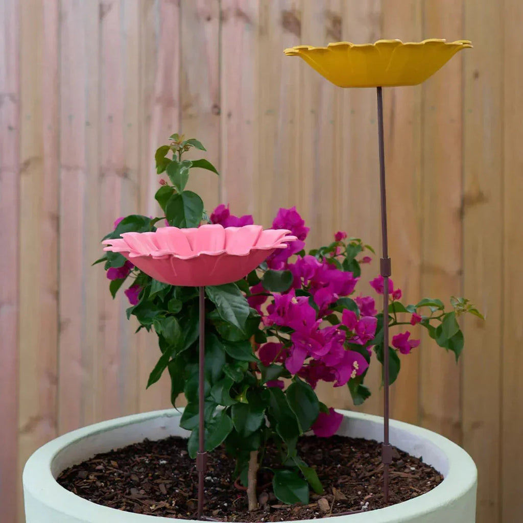 Bain d'oiseaux en bambou - Jaune tournesol